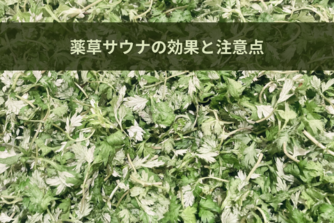 ハーブ(薬草)サウナの効果と注意点|6種類の代表的な薬草の特徴と歴史を解説