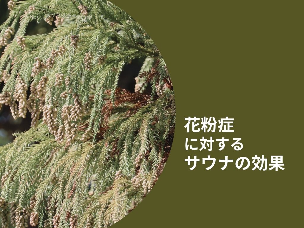 【サウナは花粉症に効果がある？】いくつかの研究や入り方を解説
